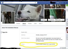 Photo #1. Complaint-review: NikKo aka Mike "KillJoy" Reichmenn - Fake Dog Rescue Scam.