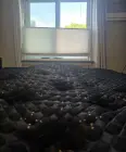 Photo #3. Complaint-review: Mattress Firm - Four Defective Mattresses and Disputes Never Started.